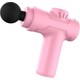  Renk Pembe