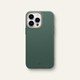  Renk Color MagSafe Kale