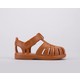  Renk Camel