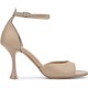  Renk Camel