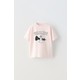 Renk Pembe