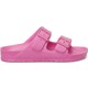 Renk Pembe