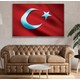 Seçili Renk Renkli