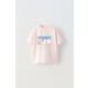  Renk Pembe