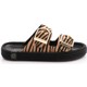 Seçili Renk Zebra