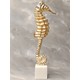  Renk Gold