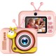 Renk Pembe