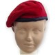  Renk 604-Bordo