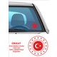 Seçili Renk Renkli