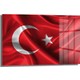 Seçili Renk Renkli