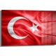 Seçili Renk Renkli
