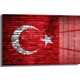 Seçili Renk Renkli