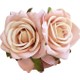  Renk Pembe