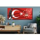 Seçili Renk Karışık