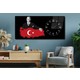 Seçili Renk Karışık