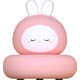  Renk Pembe