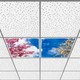 Seçili Renk 6400K - Beyaz
