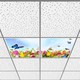 Seçili Renk 6400K - Beyaz