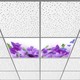 Seçili Renk 6400K - Beyaz