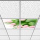Seçili Renk 6400K - Beyaz