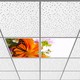 Seçili Renk 6400K - Beyaz