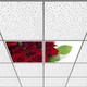 Seçili Renk 6400K - Beyaz