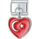 Seçili Renk Gümüş