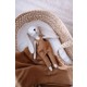 Seçili Renk Camel