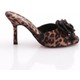  Renk Leopar