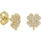  Renk Gold