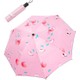  Renk Pembe