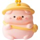  Renk Pembe