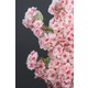  Renk Pembe - Beyaz