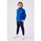  Renk Cobalt