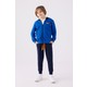  Renk Cobalt