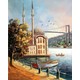 Seçili Renk Renkli