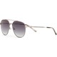  Renk Gun Metal