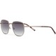  Renk Gun Metal