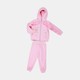  Renk Pembe