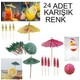 Seçili Renk Renkli