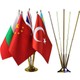 Seçili Renk Standart