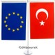 Seçili Renk Standart