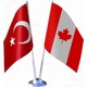 Seçili Renk Renkli