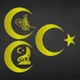  Renk Altın