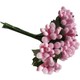  Renk Pembe