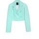  Renk Mint