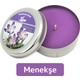 Seçili Renk Mor