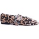  Renk Leopar