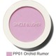 Orchid Rumor