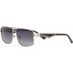  Renk Gun Metal